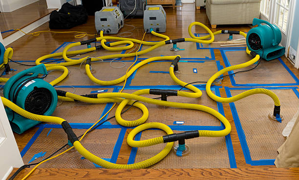 Professional Burst Pipe Water Damage technician working in Huffman, TX